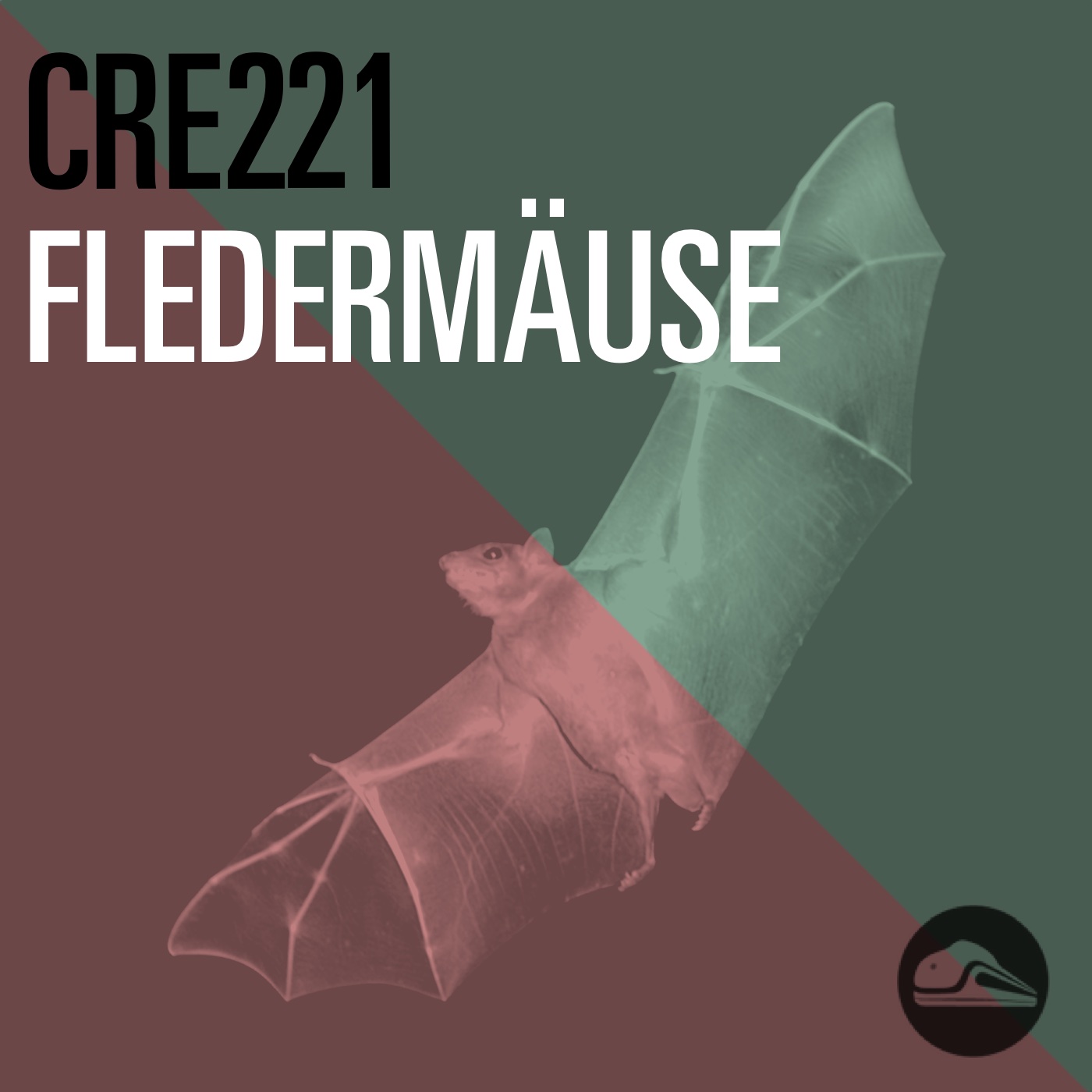 CRE221 Fledermäuse
