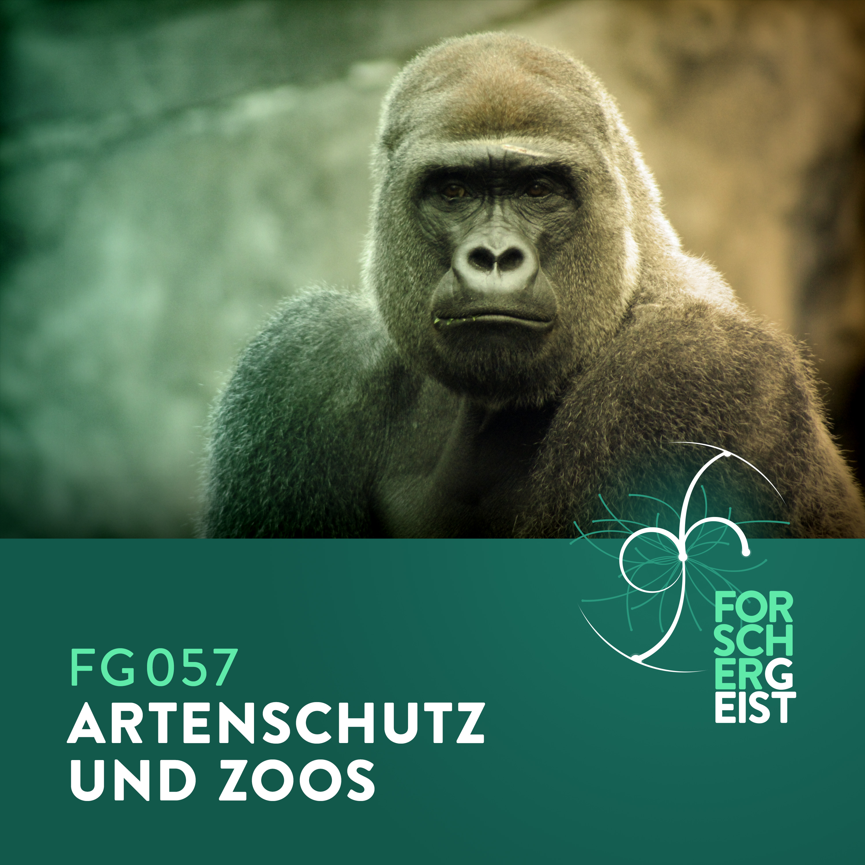 Forschergeist