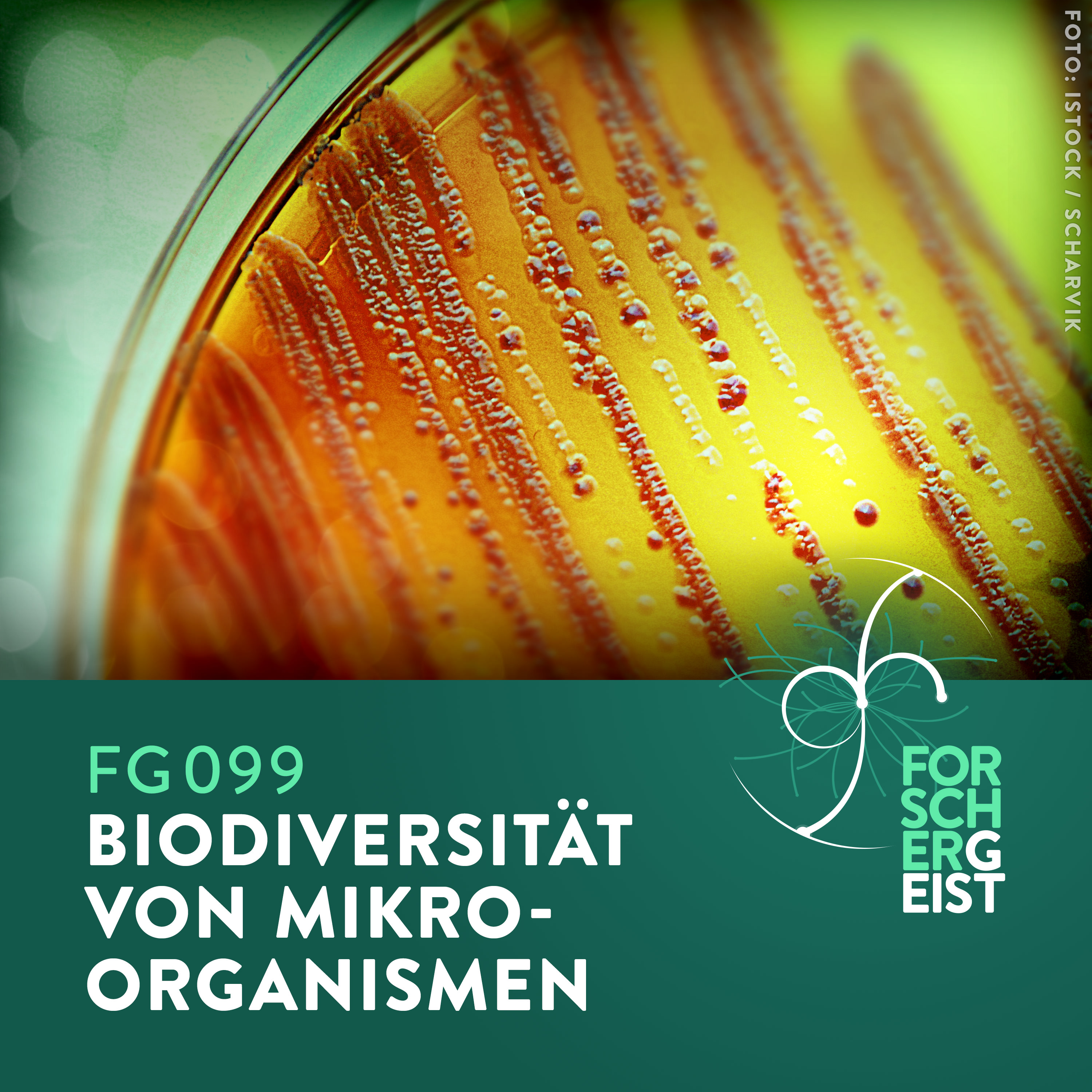 FG099 Biodiversität von Mikroorganismen